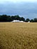 across fields to St Ives farm Campsite